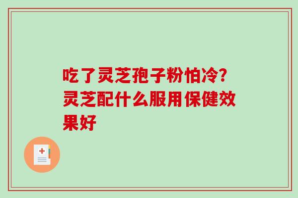 吃了灵芝孢子粉怕冷?灵芝配什么服用保健效果好 吃了灵芝孢子粉怕冷?灵芝配什么服用保健效果好