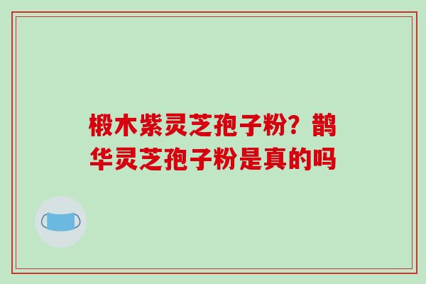 椴木紫灵芝孢子粉？鹊华灵芝孢子粉是真的吗
