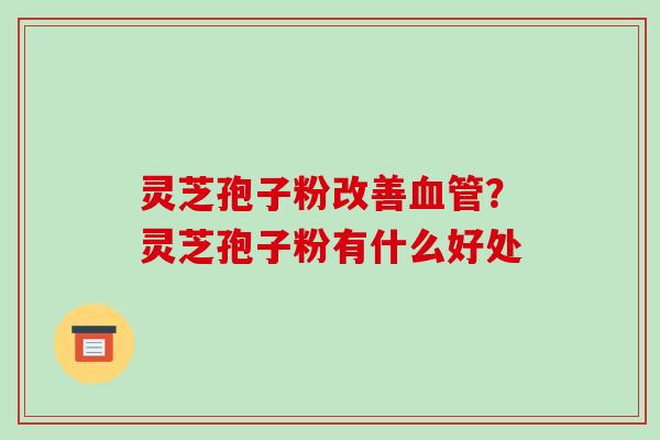灵芝孢子粉改善？灵芝孢子粉有什么好处