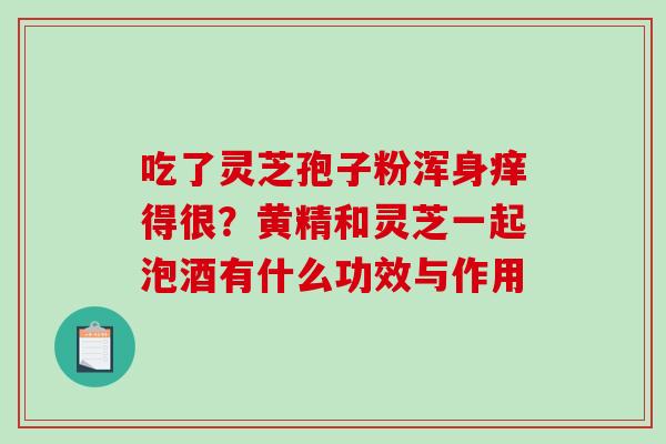 吃了灵芝孢子粉浑身痒得很?黄精和灵芝一起泡酒有什么功效与作用 吃了灵芝孢子粉浑身痒得很?黄精和灵芝一起泡酒有什么功效与作用