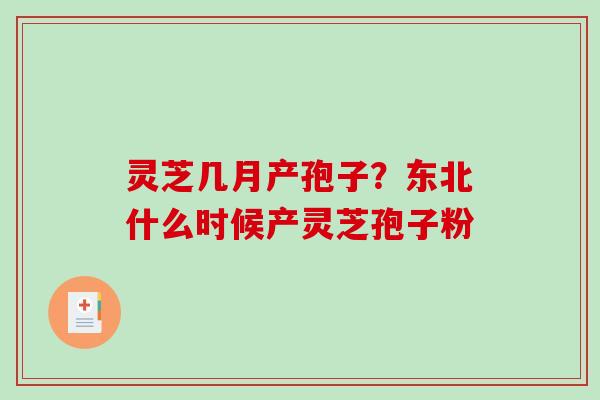 灵芝几月产孢子？东北什么时候产灵芝孢子粉