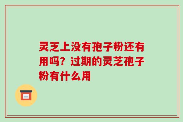 灵芝上没有孢子粉还有用吗？过期的灵芝孢子粉有什么用