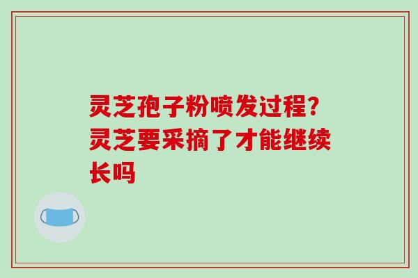 灵芝孢子粉喷发过程？灵芝要采摘了才能继续长吗