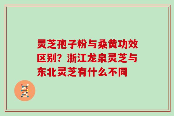 灵芝孢子粉与桑黄功效区别？浙江龙泉灵芝与东北灵芝有什么不同
