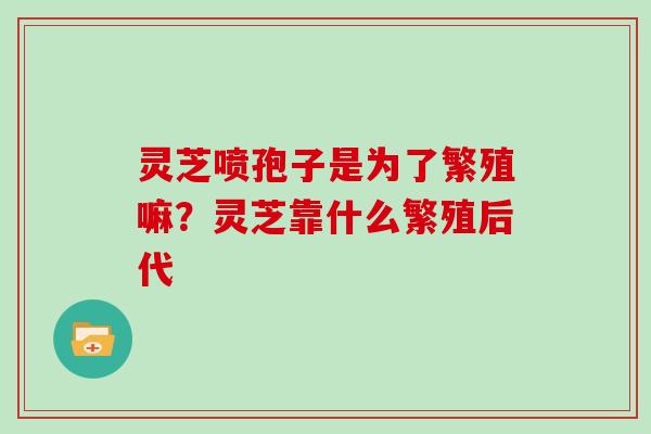 灵芝喷孢子是为了繁殖嘛？灵芝靠什么繁殖后代
