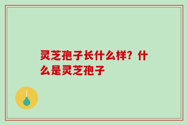 灵芝孢子长什么样?什么是灵芝孢子 灵芝孢子长什么样?什么是灵芝孢子