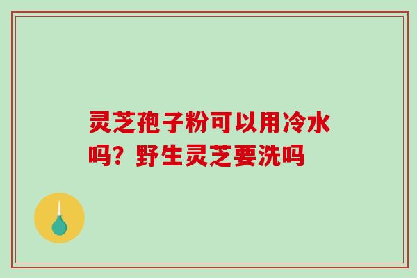 灵芝孢子粉可以用冷水吗?野生灵芝要洗吗 灵芝孢子粉可以用冷水吗?野生灵芝要洗吗