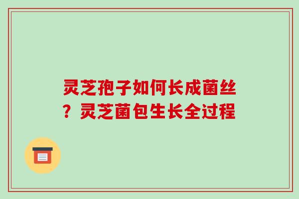 灵芝孢子如何长成菌丝？灵芝菌包生长全过程