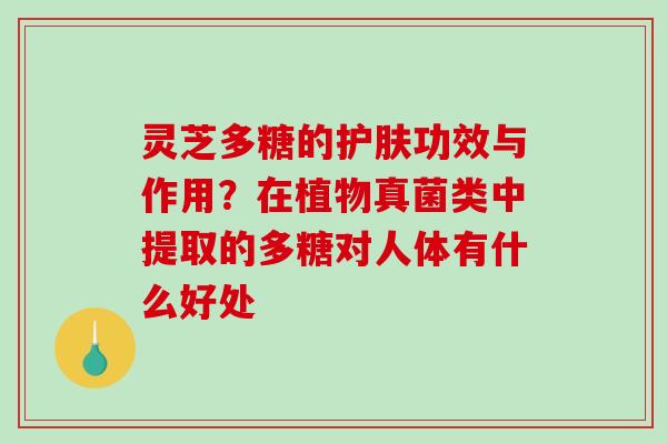 灵芝多糖的护肤功效与作用？在植物真菌类中提取的多糖对人体有什么好处