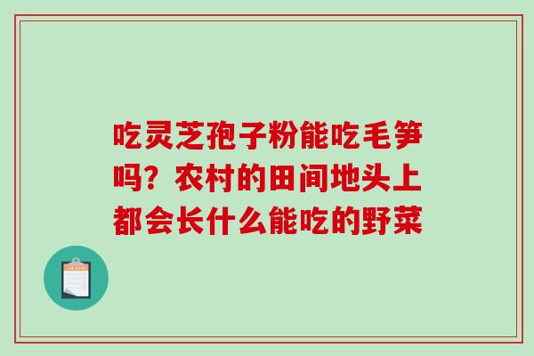 吃灵芝孢子粉能吃毛笋吗？农村的田间地头上都会长什么能吃的野菜