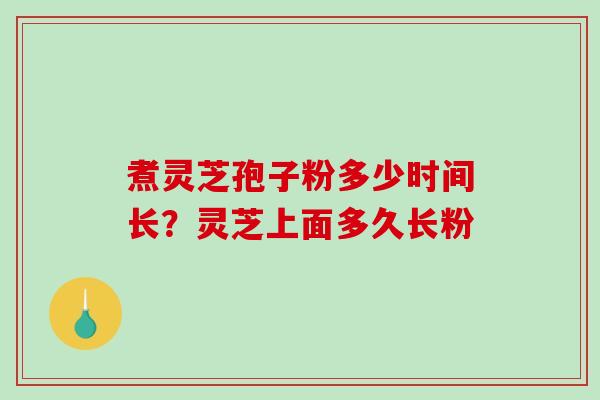 煮灵芝孢子粉多少时间长？灵芝上面多久长粉