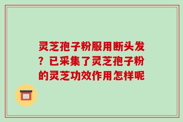灵芝孢子粉服用断头发？已采集了灵芝孢子粉的灵芝功效作用怎样呢