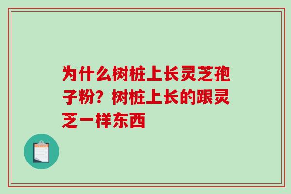 为什么树桩上长灵芝孢子粉?树桩上长的跟灵芝一样东西 为什么树桩上长灵芝孢子粉?树桩上长的跟灵芝一样东西