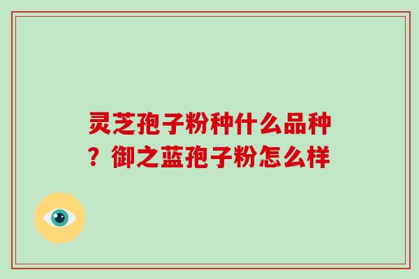 灵芝孢子粉种什么品种?御之蓝孢子粉怎么样 灵芝孢子粉种什么品种?御之蓝孢子粉怎么样