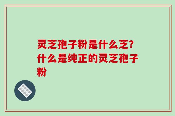 灵芝孢子粉是什么芝？什么是纯正的灵芝孢子粉