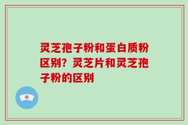 灵芝孢子粉和蛋白质粉区别？灵芝片和灵芝孢子粉的区别