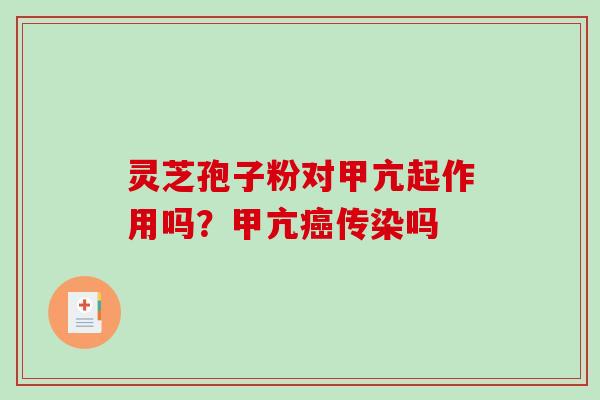 灵芝孢子粉对甲亢起作用吗？甲亢传染吗