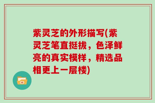 紫灵芝的外形描写(紫灵芝笔直挺拔，色泽鲜亮的真实模样，精选品相更上一层楼)