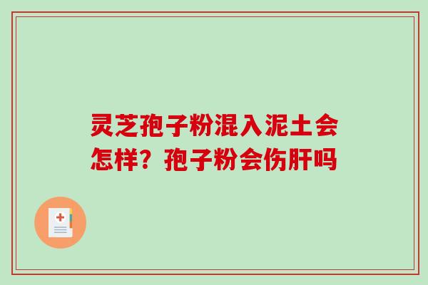 灵芝孢子粉混入泥土会怎样？孢子粉会伤吗