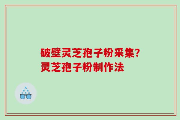 破壁灵芝孢子粉采集？灵芝孢子粉制作法