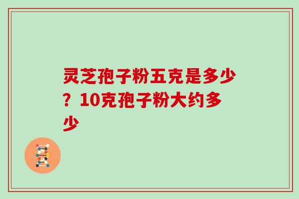 灵芝孢子粉五克是多少?10克孢子粉大约多少 灵芝孢子粉五克是多少?10克孢子粉大约多少