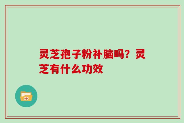 灵芝孢子粉补脑吗？灵芝有什么功效