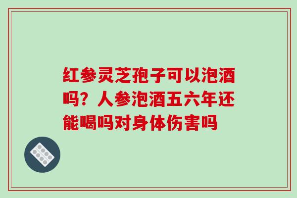 红参灵芝孢子可以泡酒吗?人参泡酒五六年还能喝吗对身体伤害吗 红参灵芝孢子可以泡酒吗?人参泡酒五六年还能喝吗对身体伤害吗
