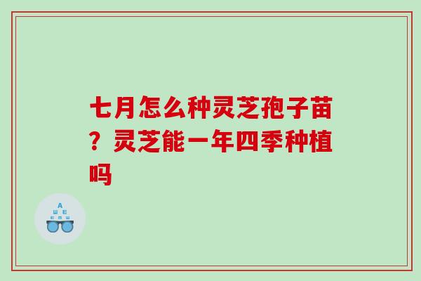 七月怎么种灵芝孢子苗?灵芝能一年四季种植吗 七月怎么种灵芝孢子苗?灵芝能一年四季种植吗