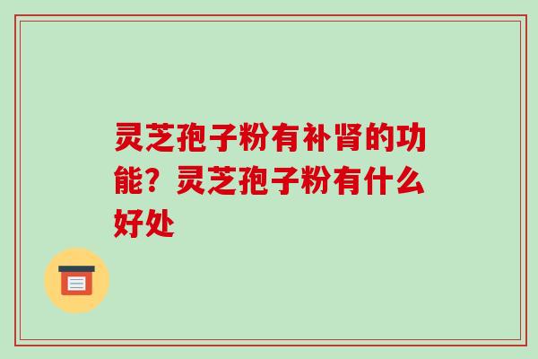 灵芝孢子粉有补肾的功能？灵芝孢子粉有什么好处