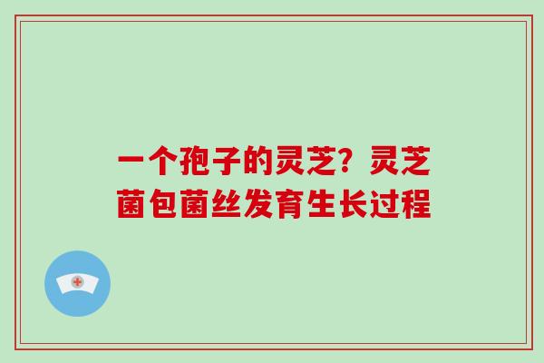 一个孢子的灵芝？灵芝菌包菌丝发育生长过程