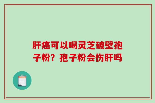 可以喝灵芝破壁孢子粉？孢子粉会伤吗