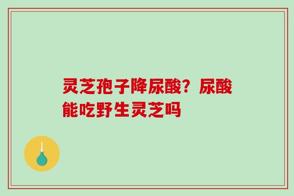 灵芝孢子降尿酸？尿酸能吃野生灵芝吗