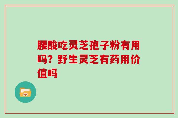 腰酸吃灵芝孢子粉有用吗？野生灵芝有药用价值吗