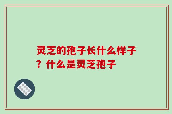 灵芝的孢子长什么样子?什么是灵芝孢子 灵芝的孢子长什么样子?什么是灵芝孢子
