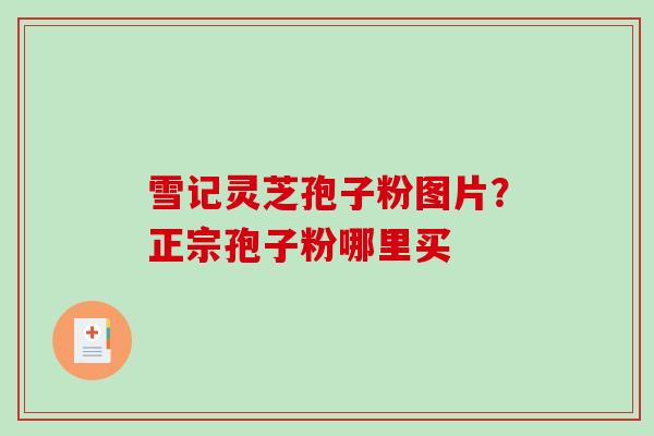 雪记灵芝孢子粉图片？正宗孢子粉哪里买
