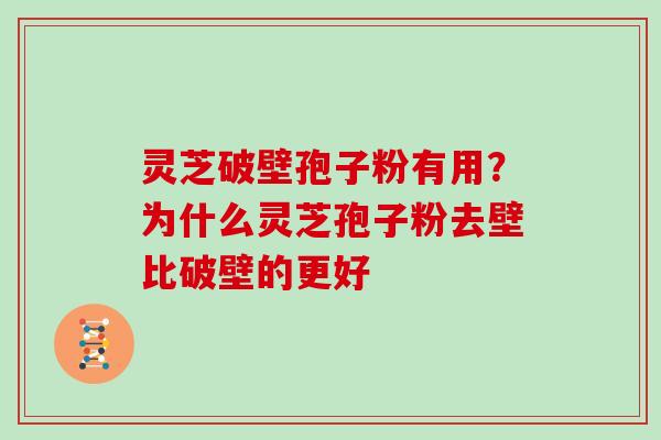 灵芝破壁孢子粉有用?为什么灵芝孢子粉去壁比破壁的更好 灵芝破壁孢子粉有用?为什么灵芝孢子粉去壁比破壁的更好