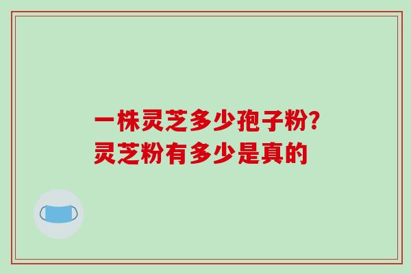 一株灵芝多少孢子粉?灵芝粉有多少是真的 一株灵芝多少孢子粉?灵芝粉有多少是真的