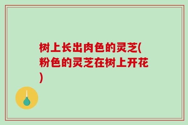 树上长出肉色的灵芝(粉色的灵芝在树上开花) 树上长出肉色的灵芝(粉色的灵芝在树上开花)
