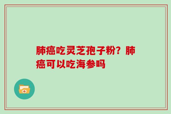 吃灵芝孢子粉？可以吃海参吗