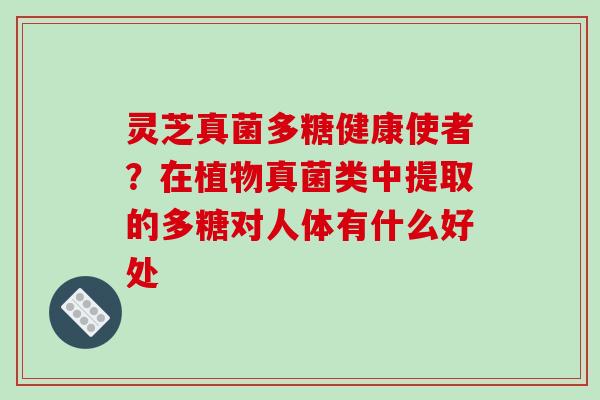灵芝真菌多糖健康使者?在植物真菌类中提取的多糖对人体有什么好处 灵芝真菌多糖健康使者?在植物真菌类中提取的多糖对人体有什么好处