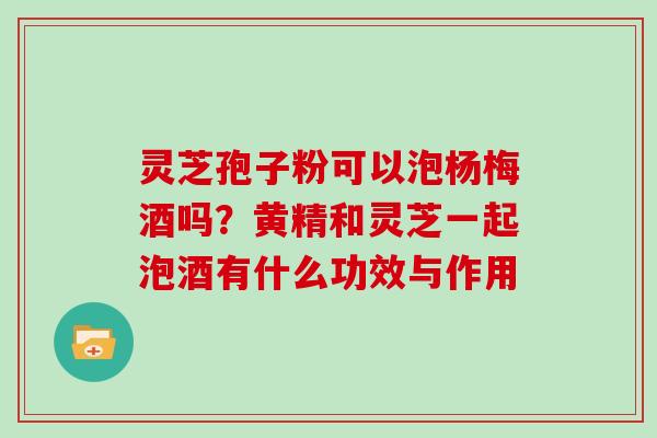 灵芝孢子粉可以泡杨梅酒吗？黄精和灵芝一起泡酒有什么功效与作用