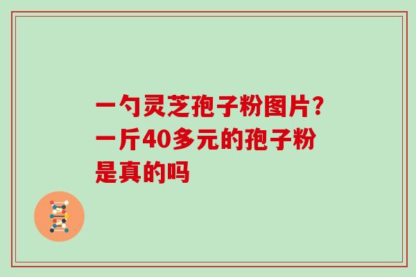 一勺灵芝孢子粉图片？一斤40多元的孢子粉是真的吗