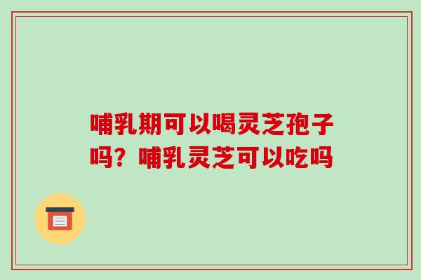 哺乳期可以喝灵芝孢子吗？哺乳灵芝可以吃吗
