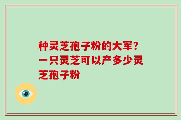 种灵芝孢子粉的大军？一只灵芝可以产多少灵芝孢子粉