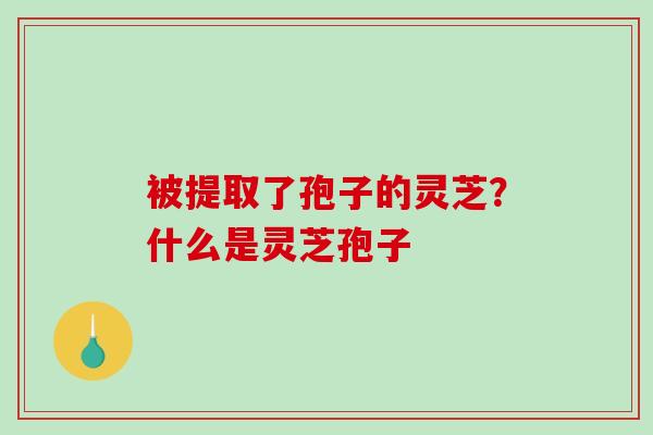 被提取了孢子的灵芝?什么是灵芝孢子 被提取了孢子的灵芝?什么是灵芝孢子