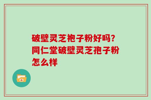 破壁灵芝袍子粉好吗？同仁堂破壁灵芝孢子粉怎么样