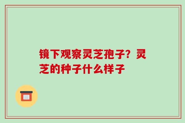 镜下观察灵芝孢子?灵芝的种子什么样子 镜下观察灵芝孢子?灵芝的种子什么样子