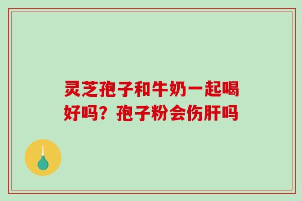 灵芝孢子和牛奶一起喝好吗？孢子粉会伤吗