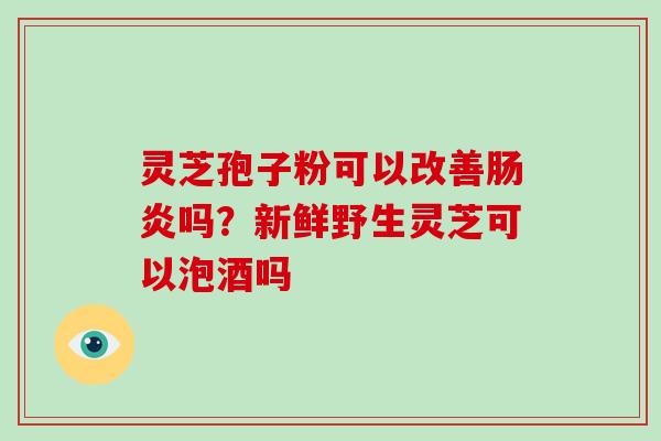 灵芝孢子粉可以改善肠炎吗？新鲜野生灵芝可以泡酒吗