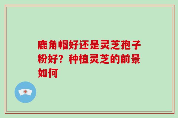 鹿角帽好还是灵芝孢子粉好？种植灵芝的前景如何